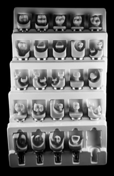 case-Hainan Meierkang Biomedical Industry Development Co., Ltd